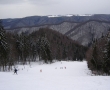 Partia de Skii